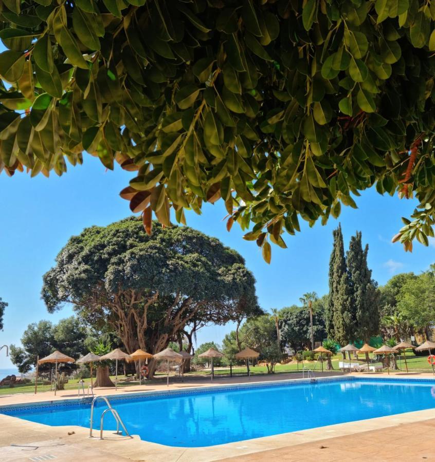 בנאלמדנה Lemon Tree Apartment מראה חיצוני תמונה
